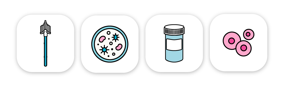 Citología en Base Líquida para la prevención y detección oportuna del cáncer cervicouterino en Fundación Luis Pasteur.