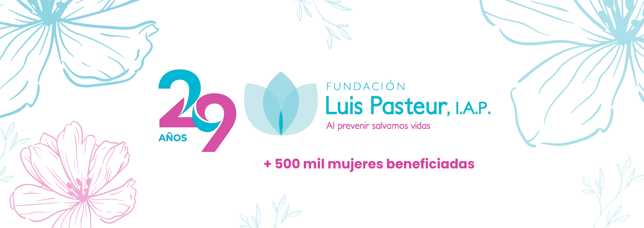 Más de 500 mil mujeres beneficiadas.